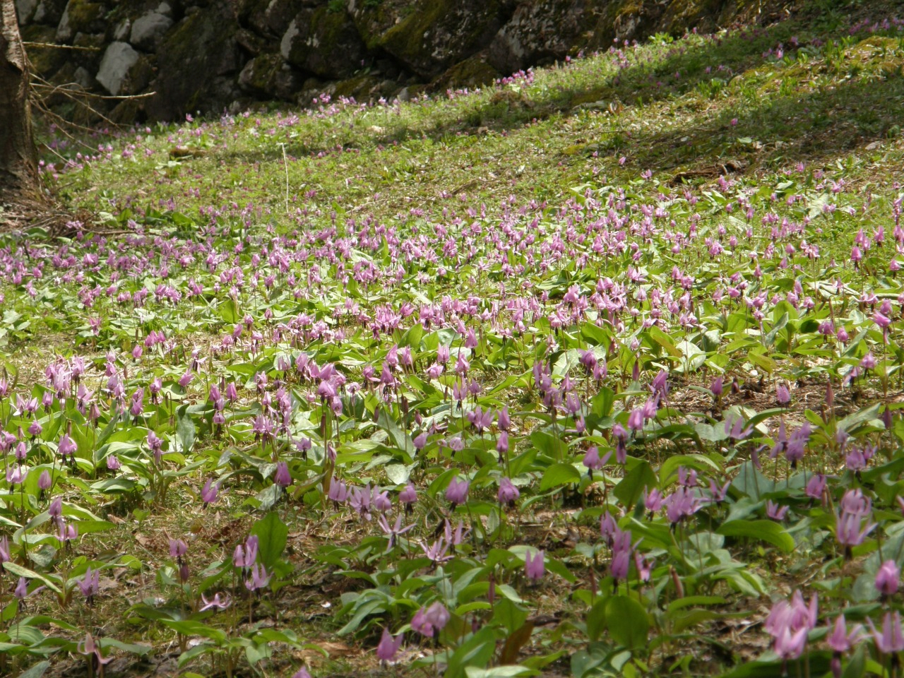 P5040042.JPG