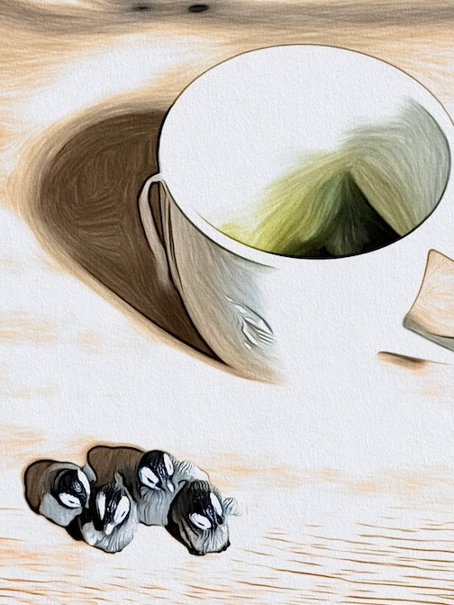 Graphite-2025-04-02-05-50-35.jpg