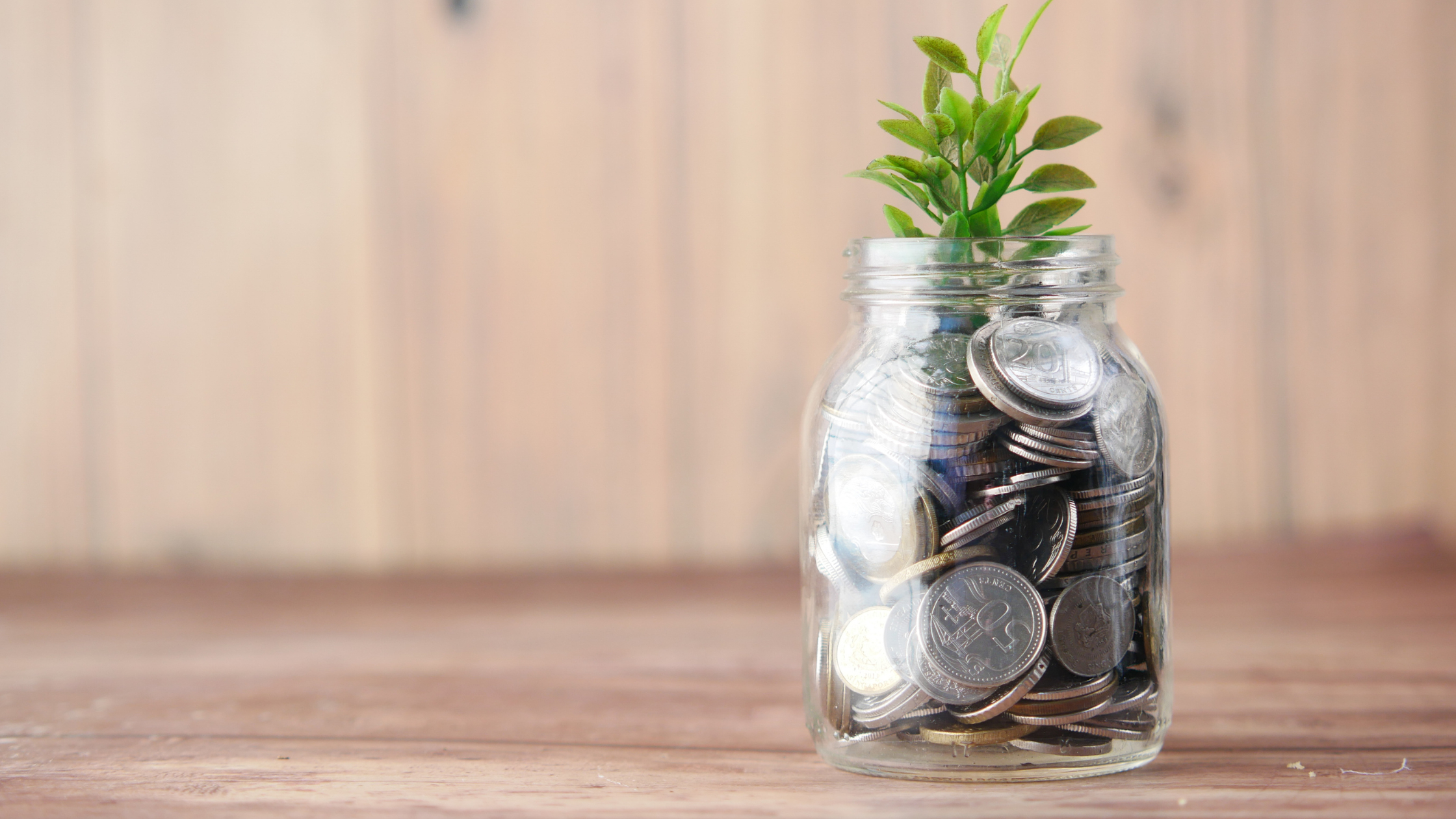 名称未設定のデザイン (3).png