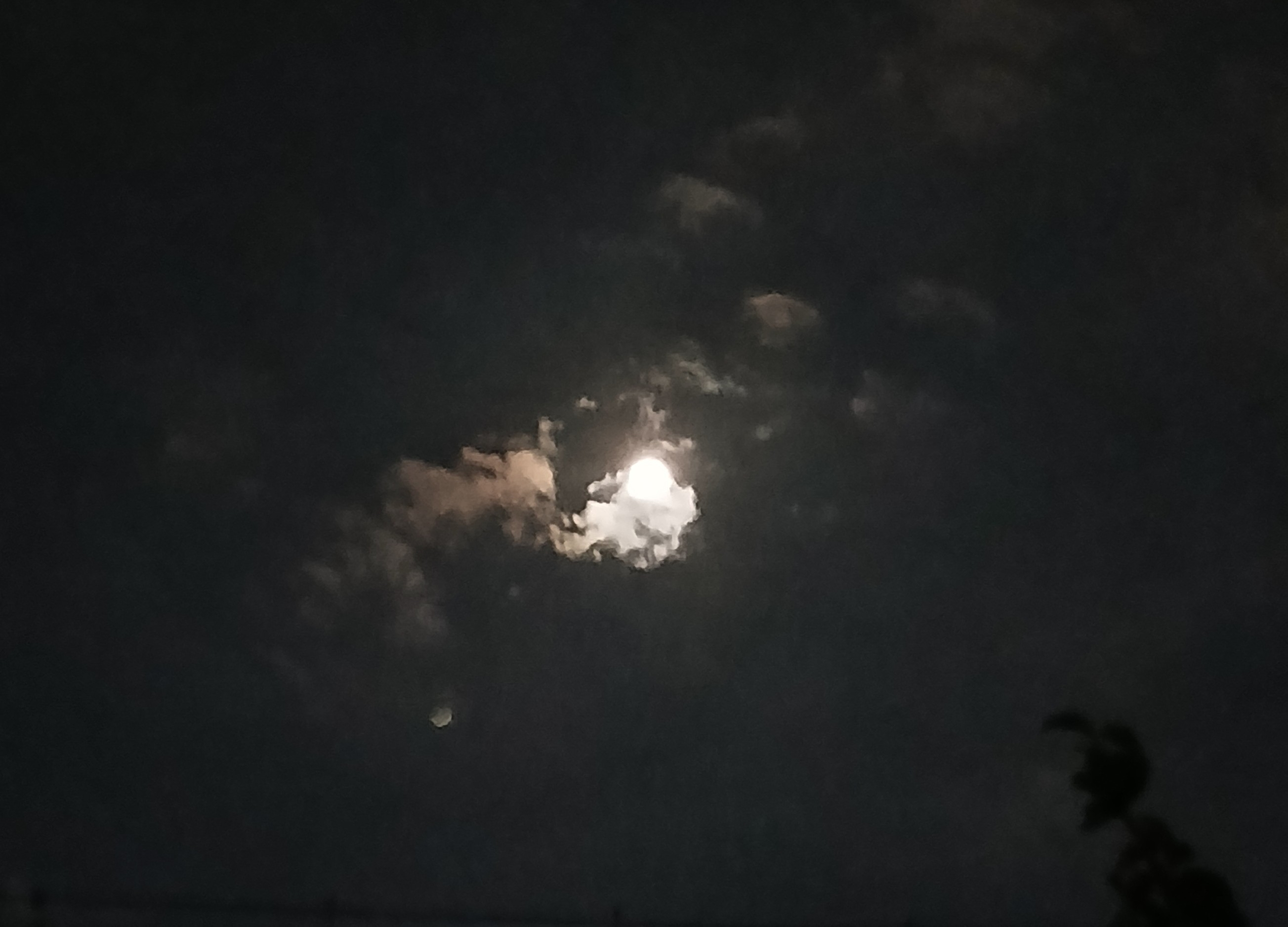 20260802_041547欠けていく月.jpg