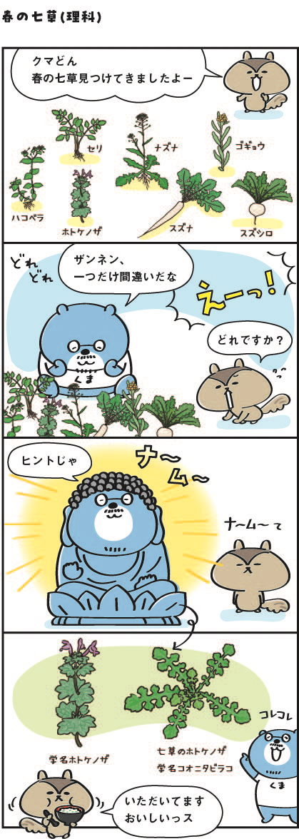春の七草（理科）.jpg