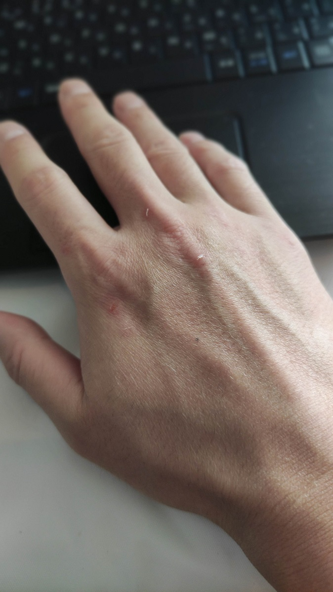 1667021051583 - コピー.jpg