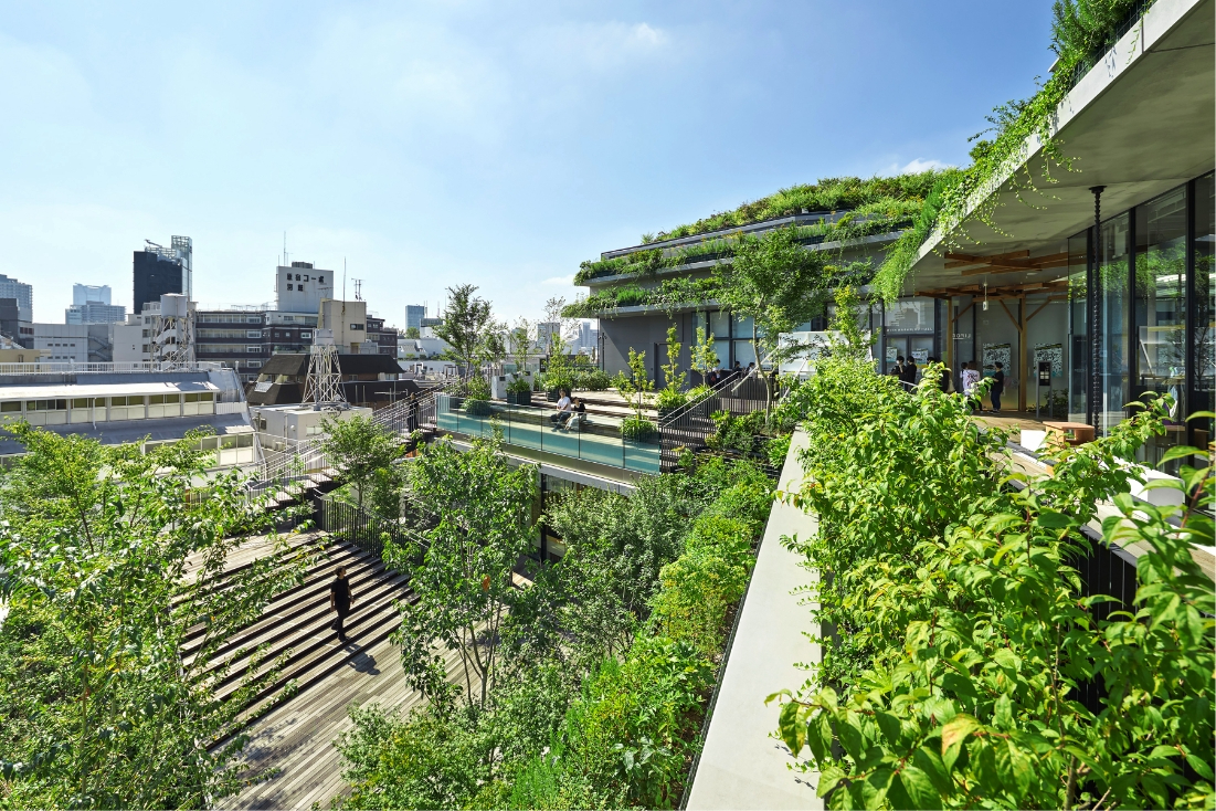 WITH-HARAJUKU-roof.jpg