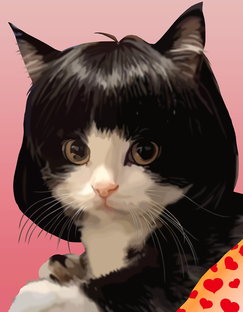 猫とウイッグ.jpg