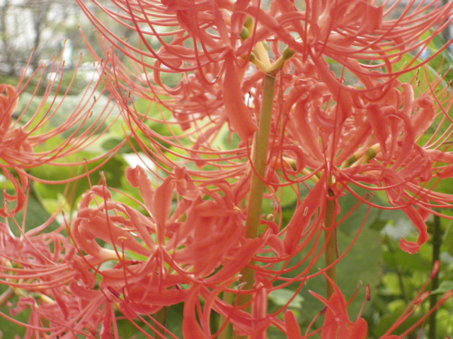 P9250043.JPG