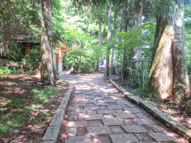 箱根神社_遊歩道.jpg