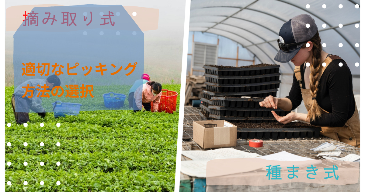 はてなブログ　アイキャッチ画像　はてブ　Blog - 2023-01-24T164729.373.png