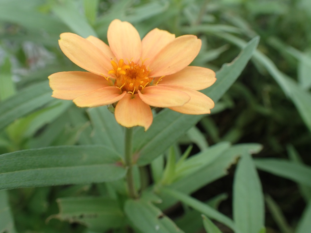 PA050355.JPG