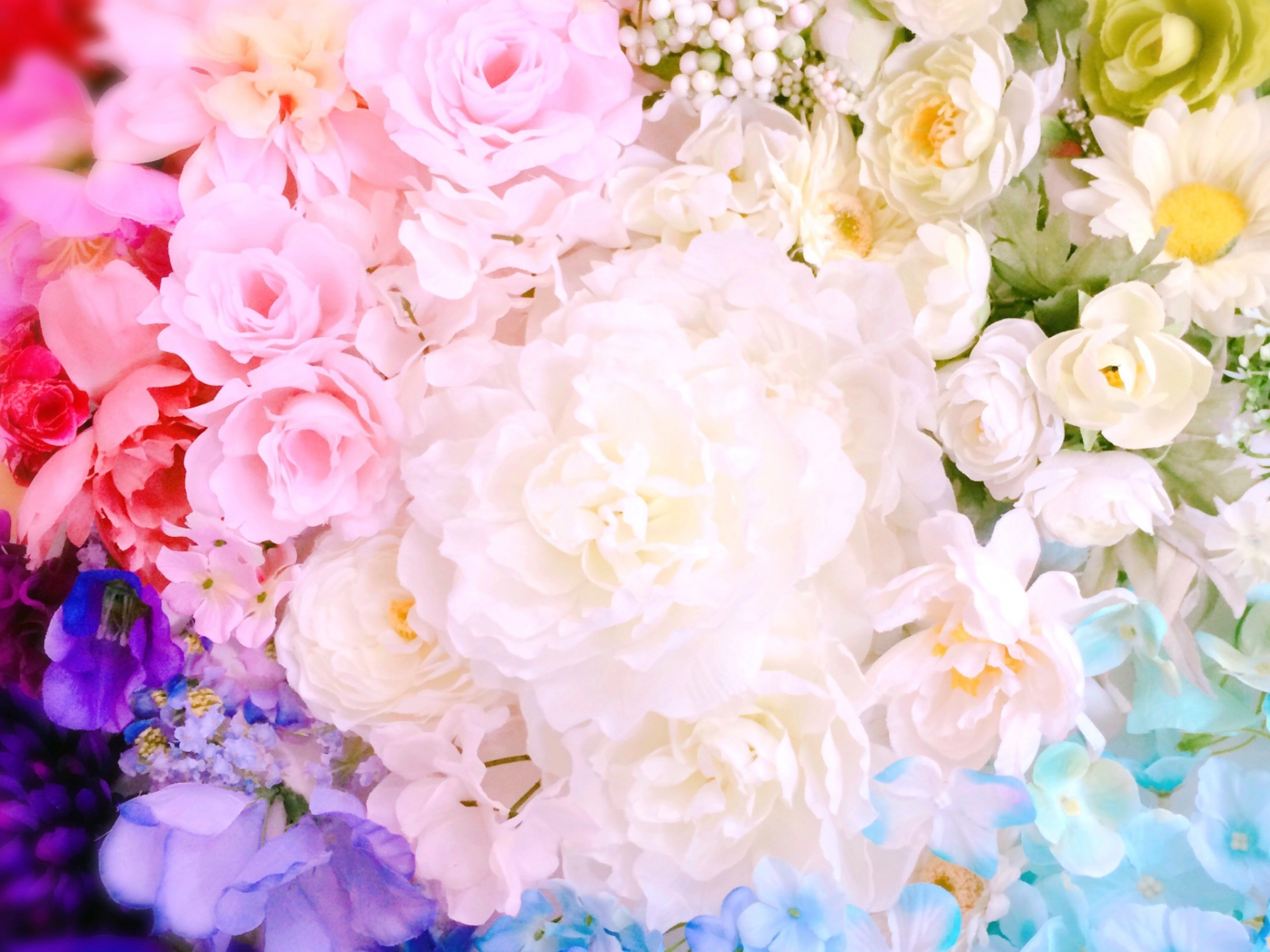 38A7D9C2-0A29-4322-BD9B-3A00501D5DF6.jpeg