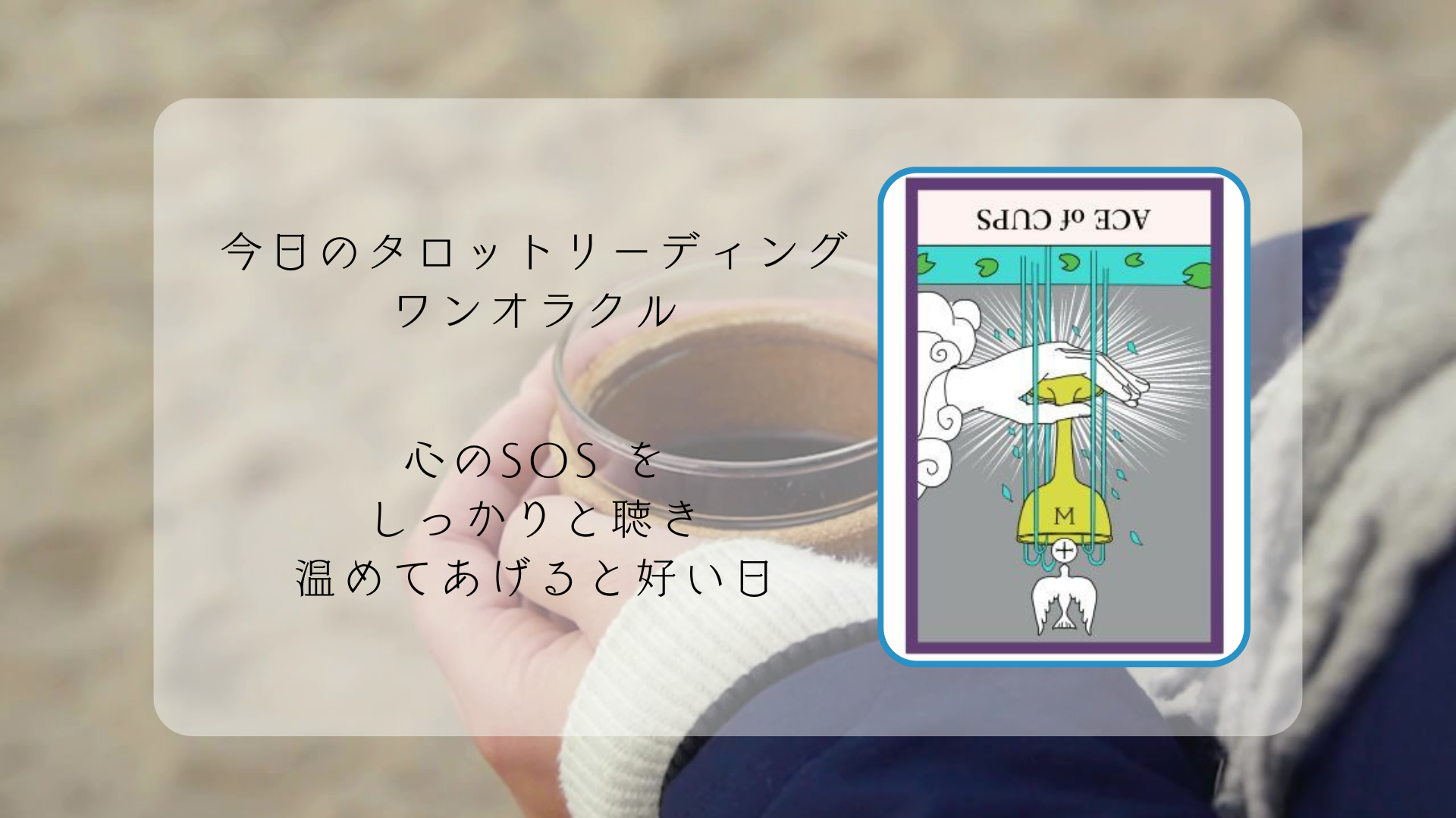 2026.2.11　カップのエース逆 .png