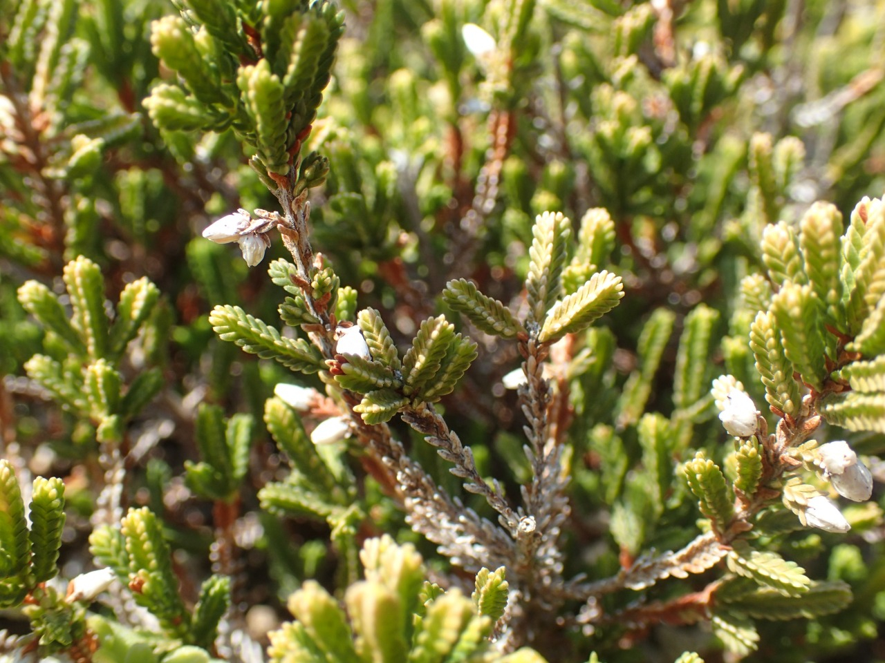 P3220789.JPG
