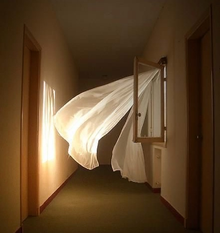 IMG_2634 (1).JPG