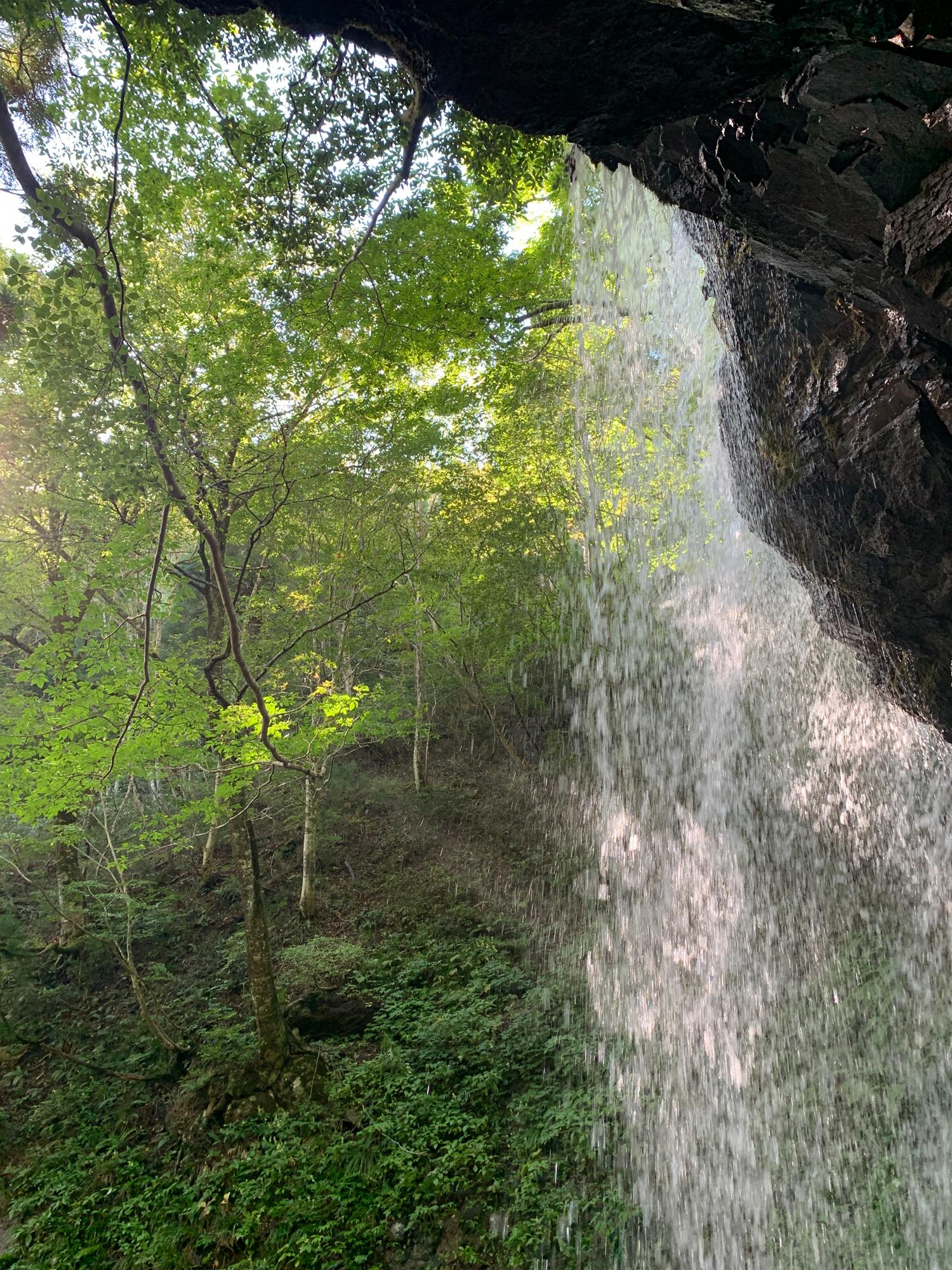 2021-9245.jpg