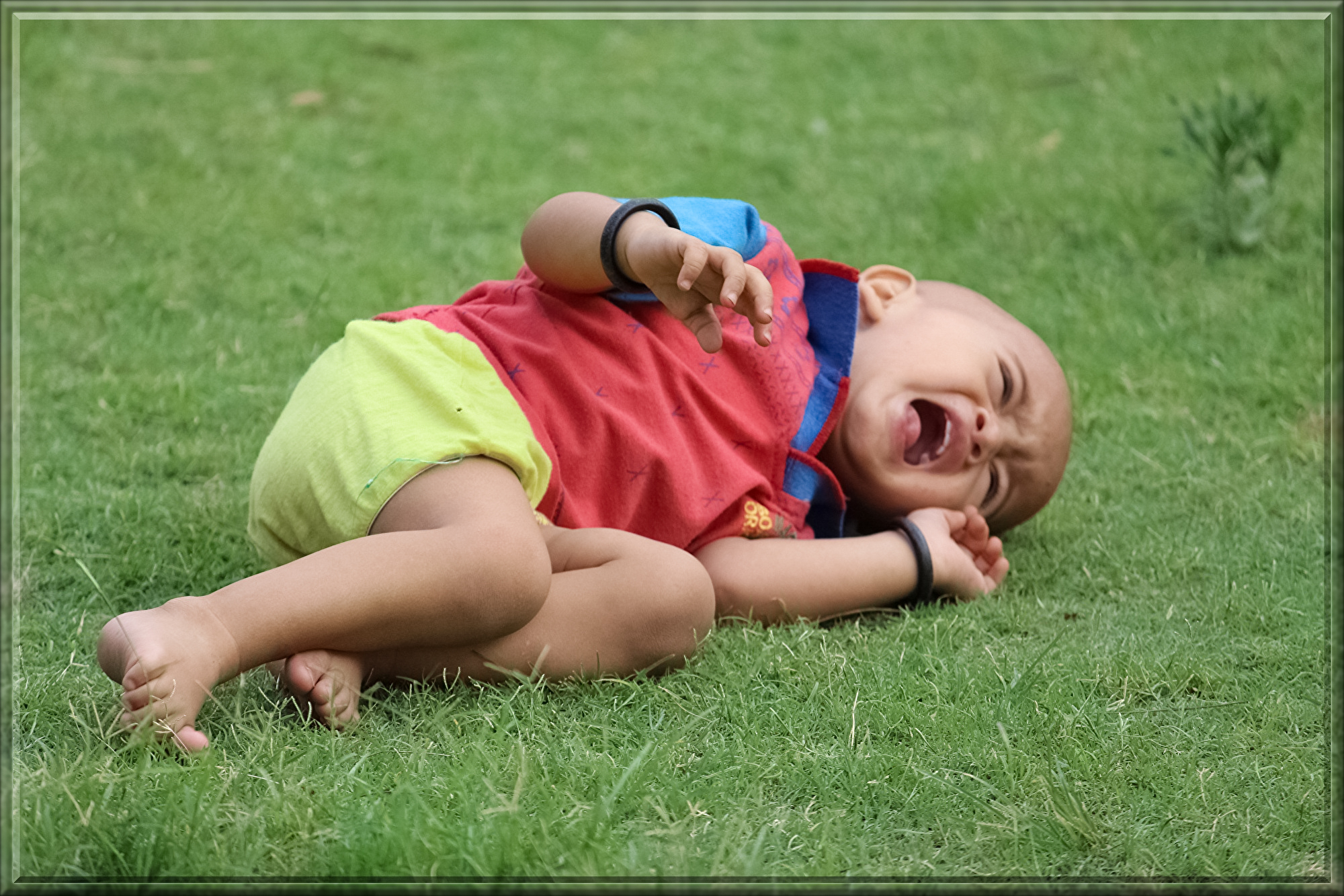 crying-baby-2408618.jpg