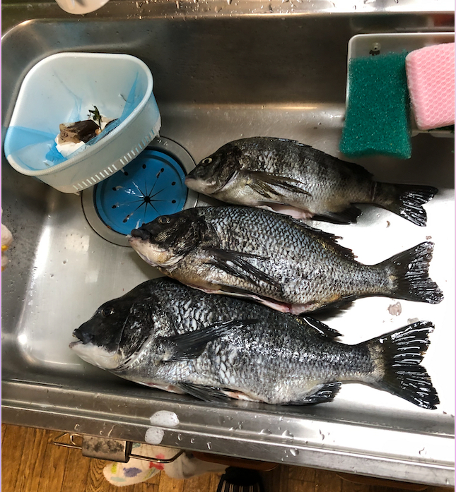 スクリーンショット 2025-05-23 13.21.51.png