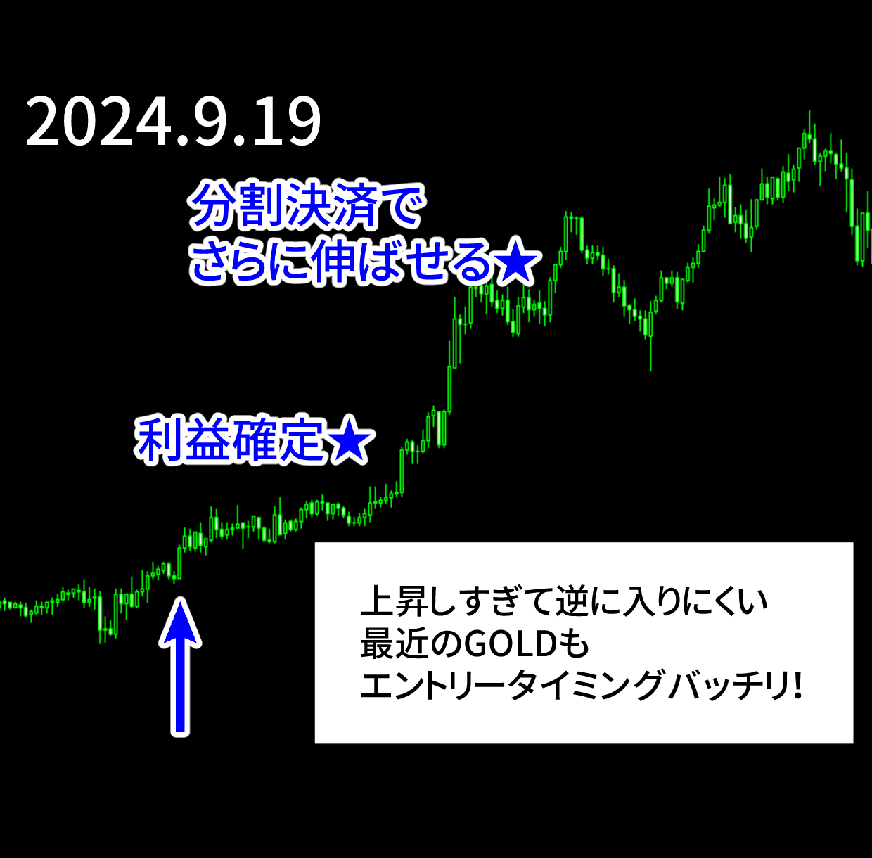 エントリー例_240919.png