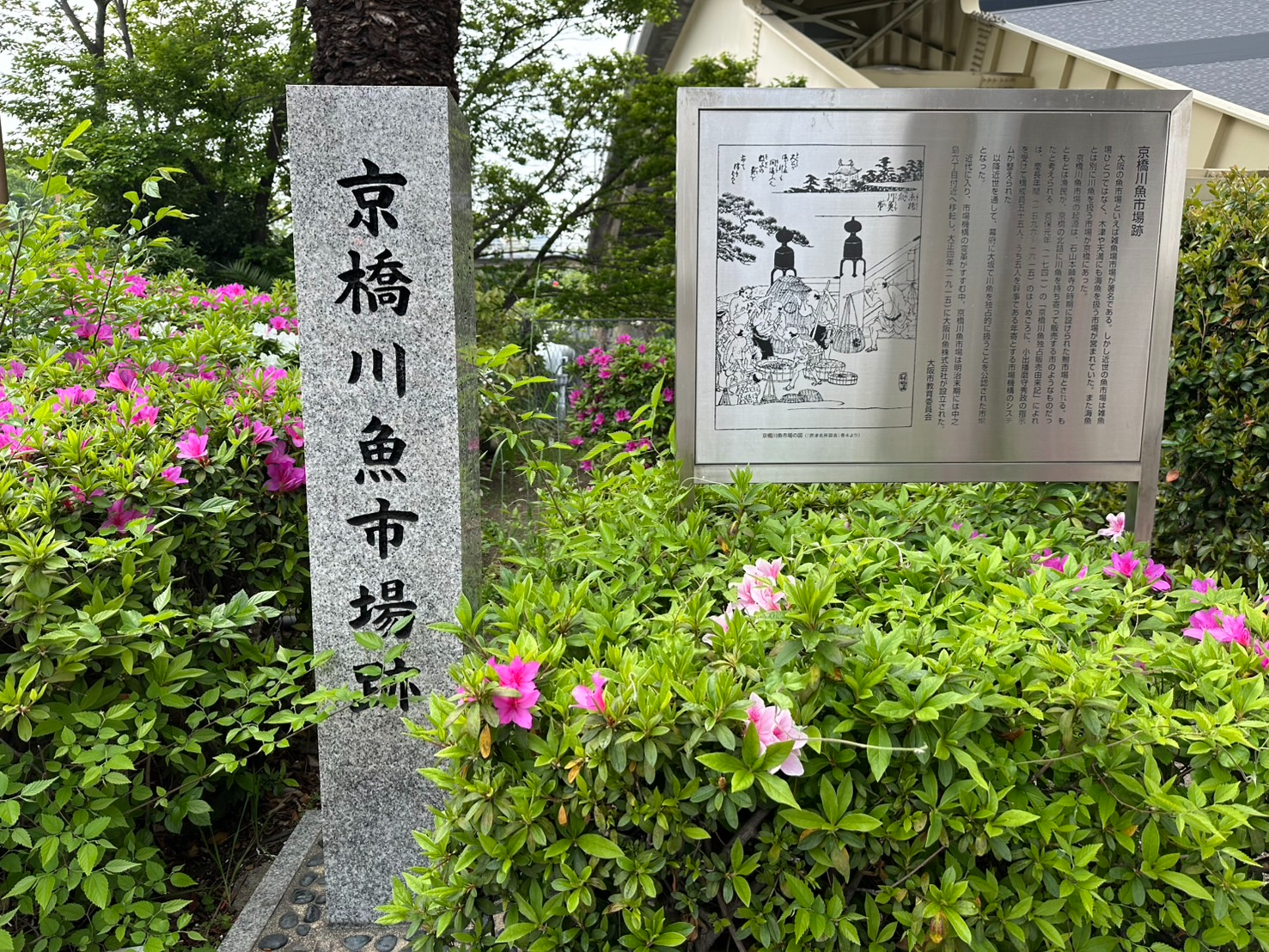 S__59908121_0.jpg