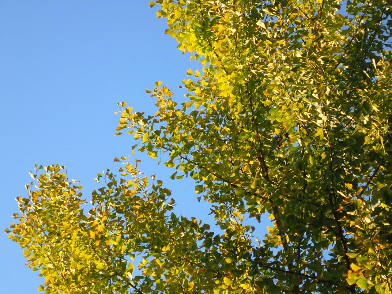 PA221206.JPG