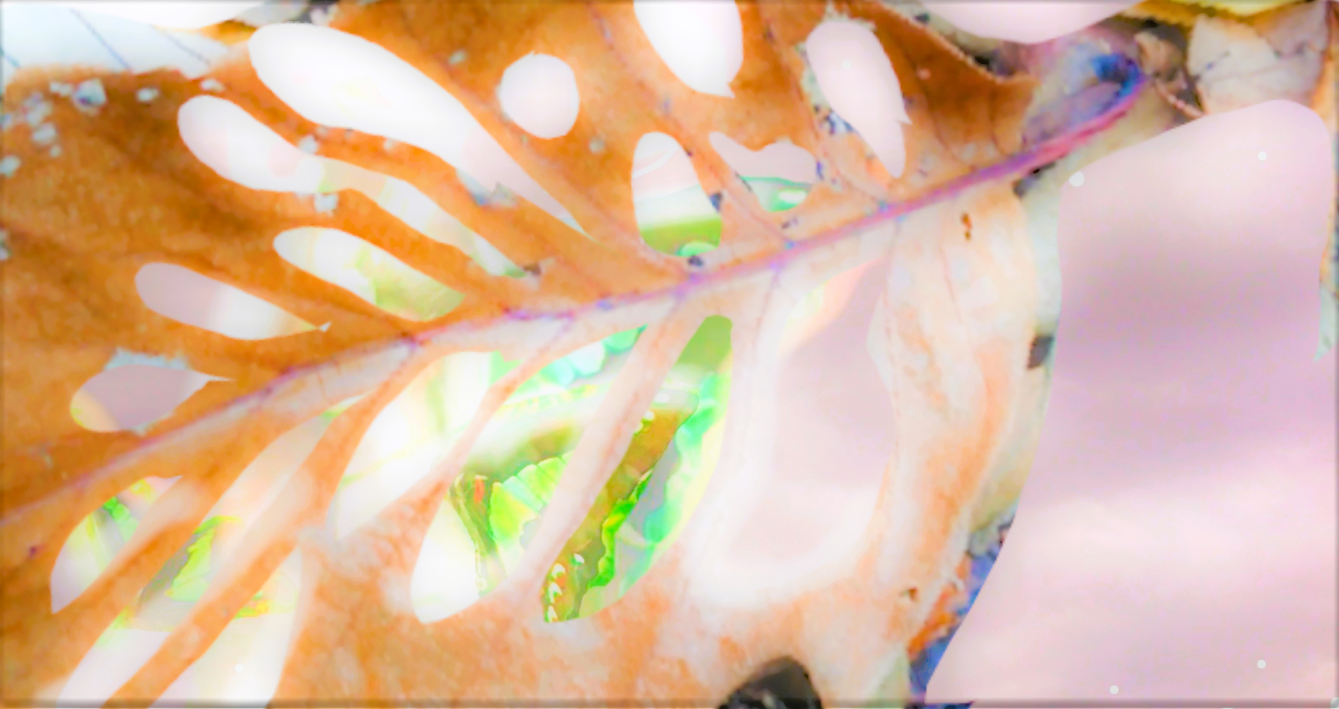 sketch-1669870641262 (2)012.png