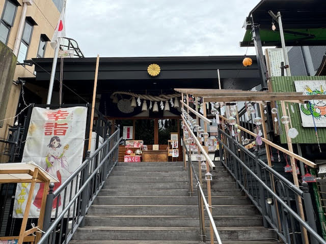 菊名.jpg