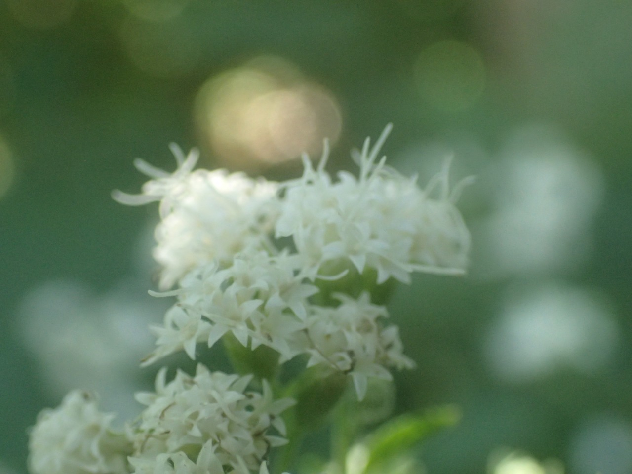 PA120318.JPG