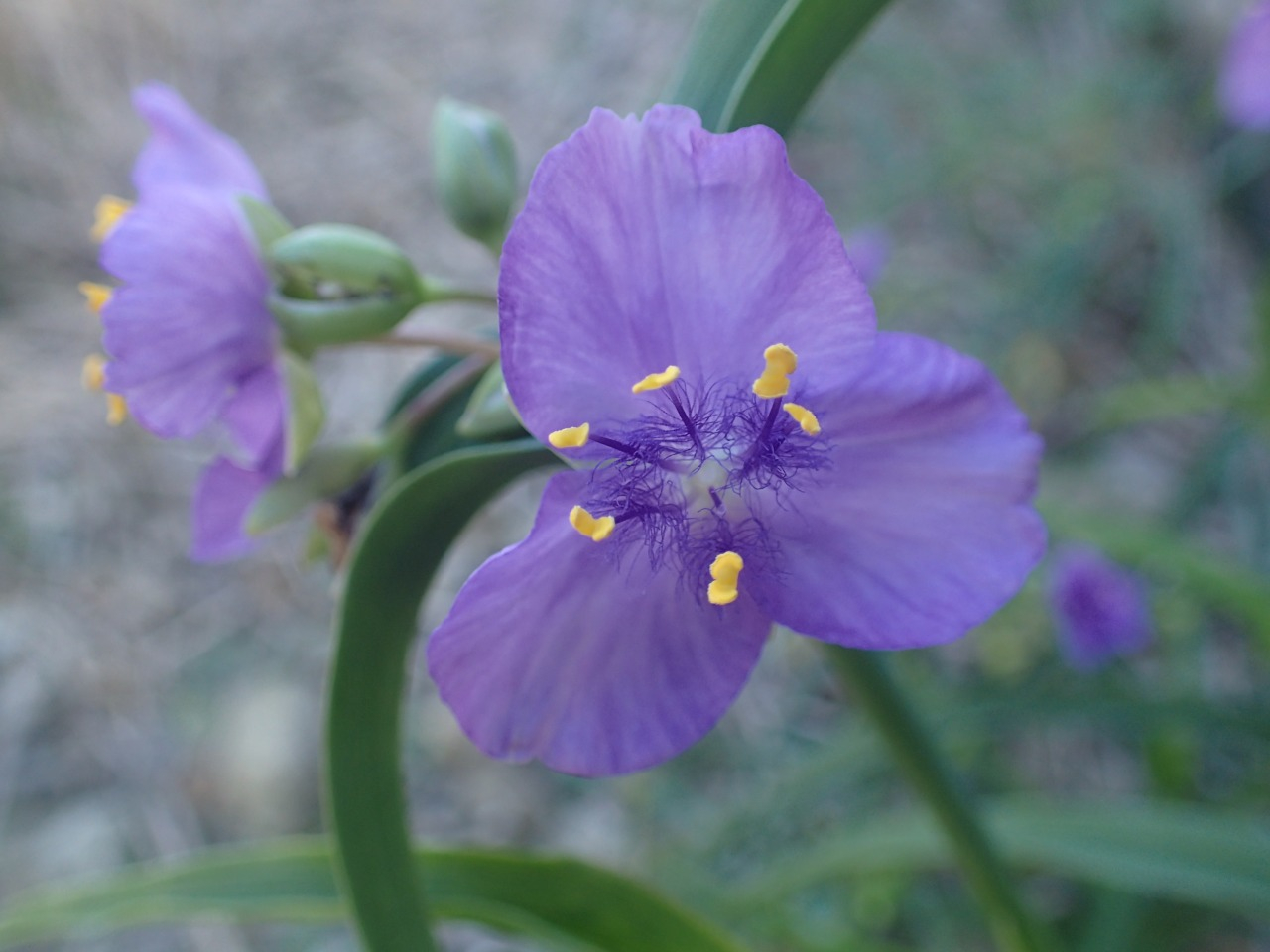 PA060360.JPG