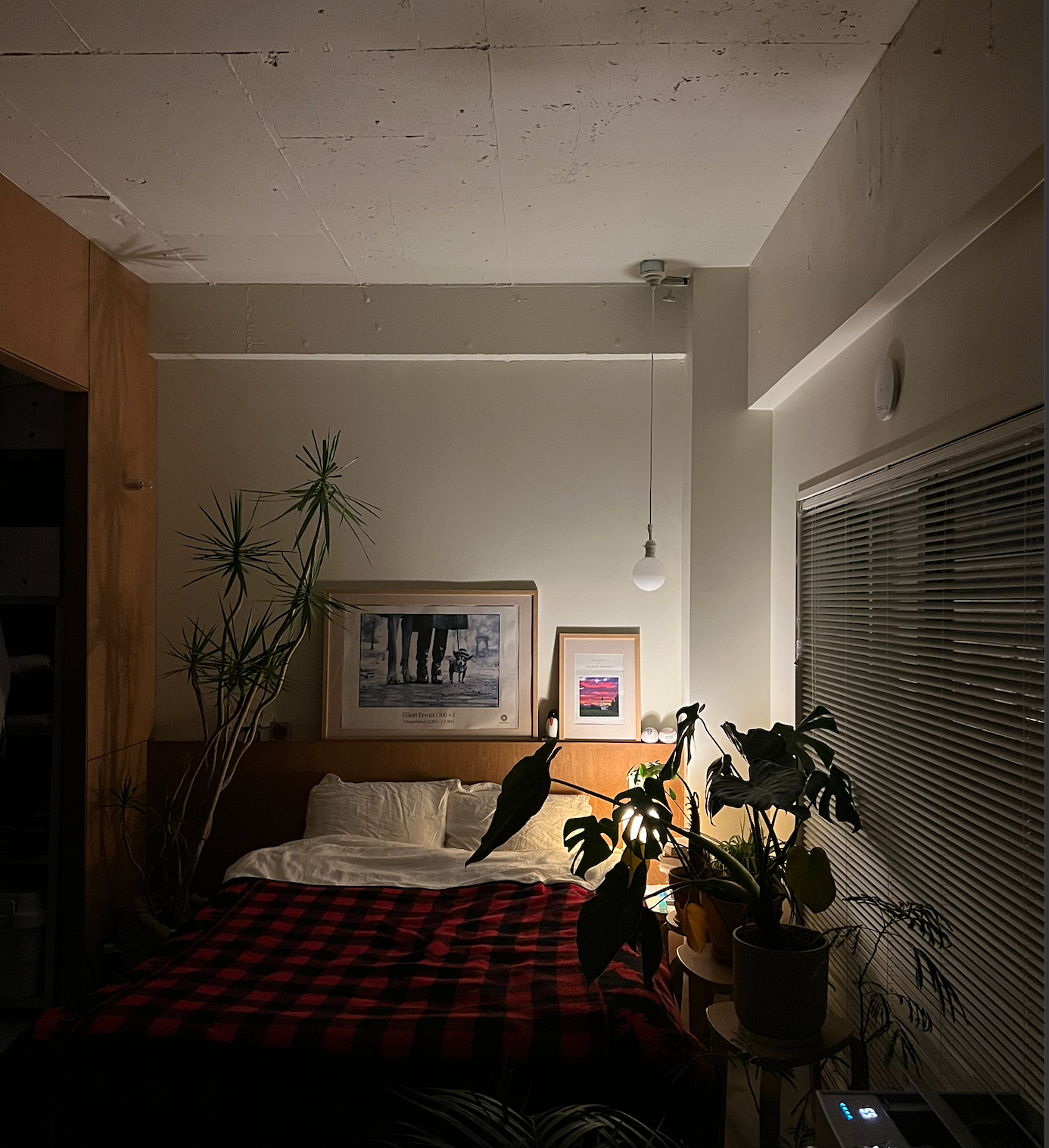 スクリーンショット 2025-01-04 23.46.09.png