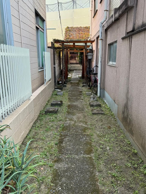 花姫参道.jpg