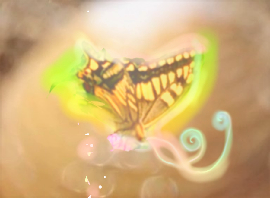 sketch-1669526178822 (2).png