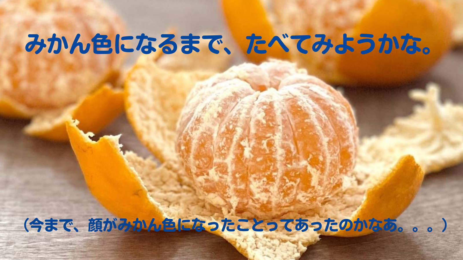 【2026年 宣言】③.png