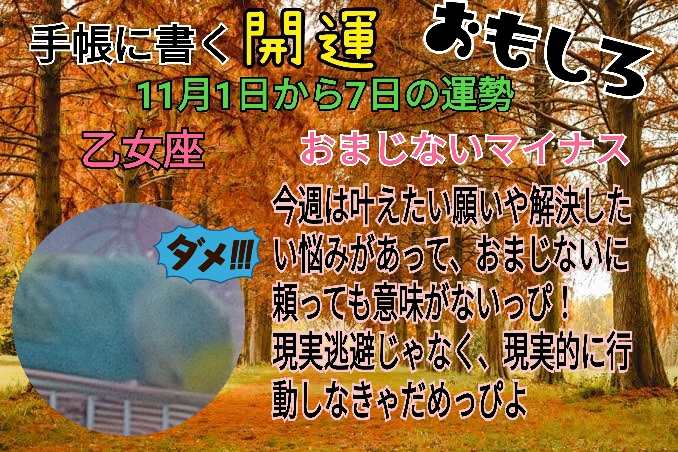 １１月１日おとめ座.jpg