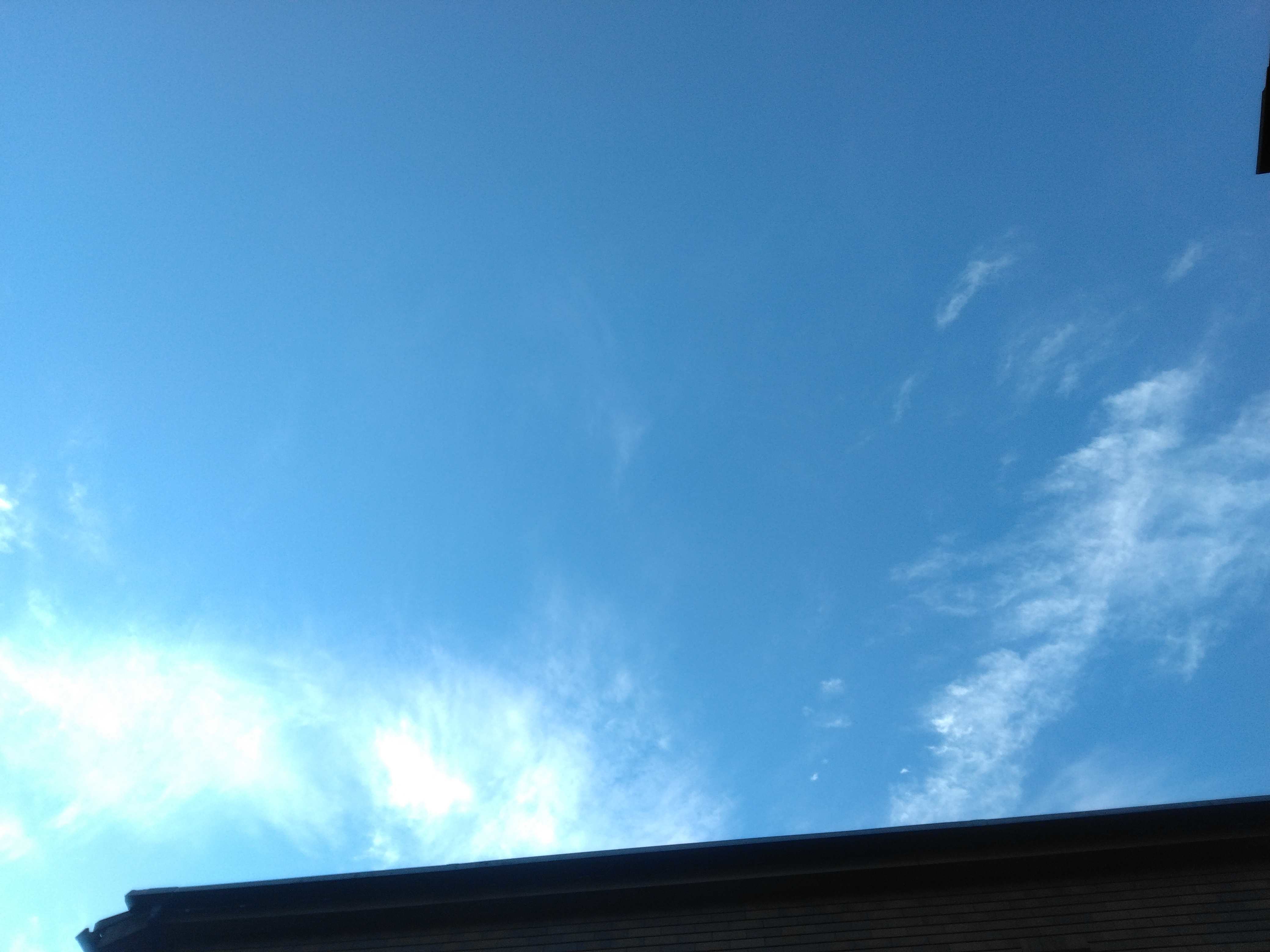 IMG_20241231_073657.jpg