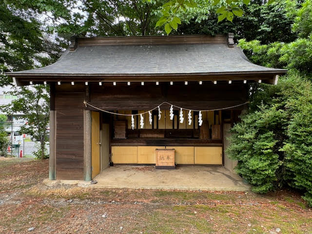 蜂.jpg