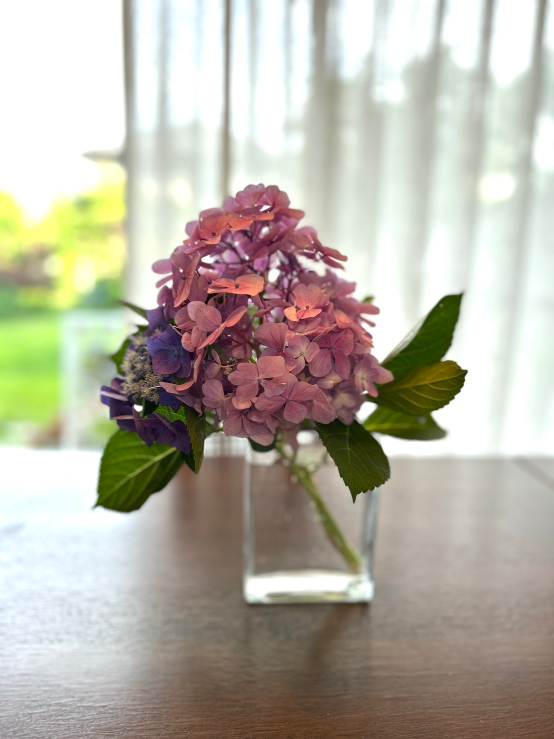 S__110837765.jpg