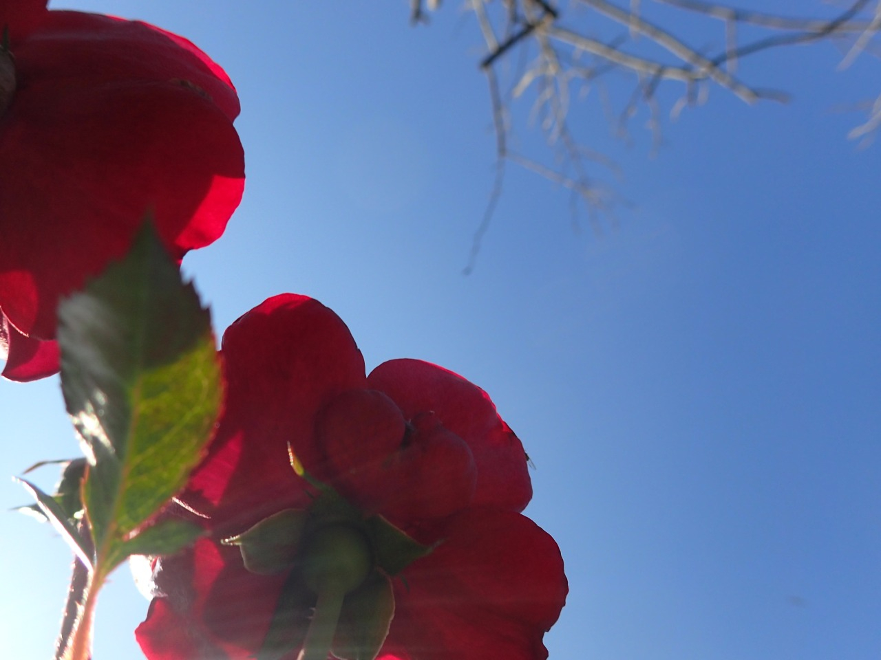 PB160293.JPG