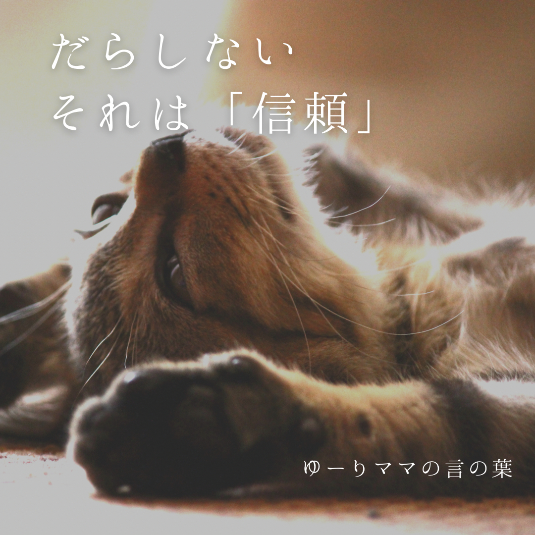 3FE2EC4B-430A-4EBA-BF07-3A11EED21370.PNG