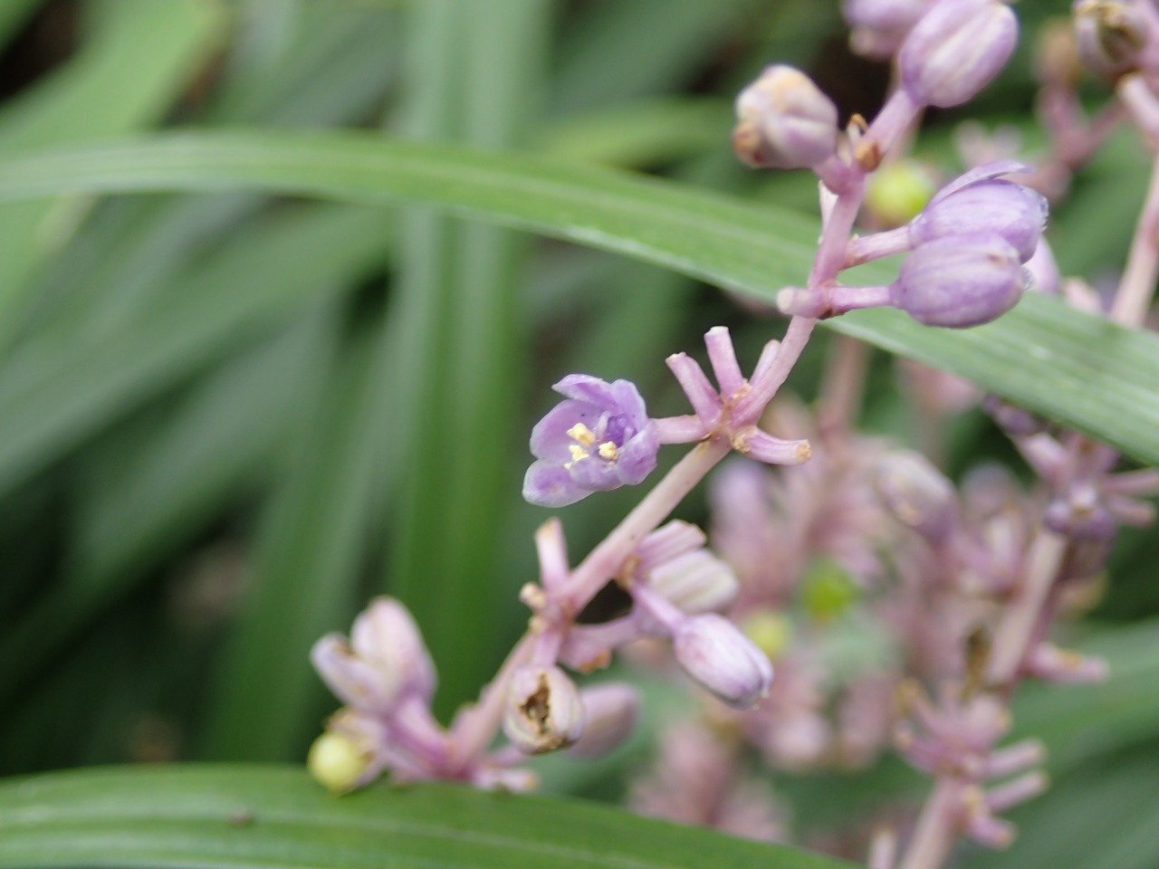 PA121164.JPG