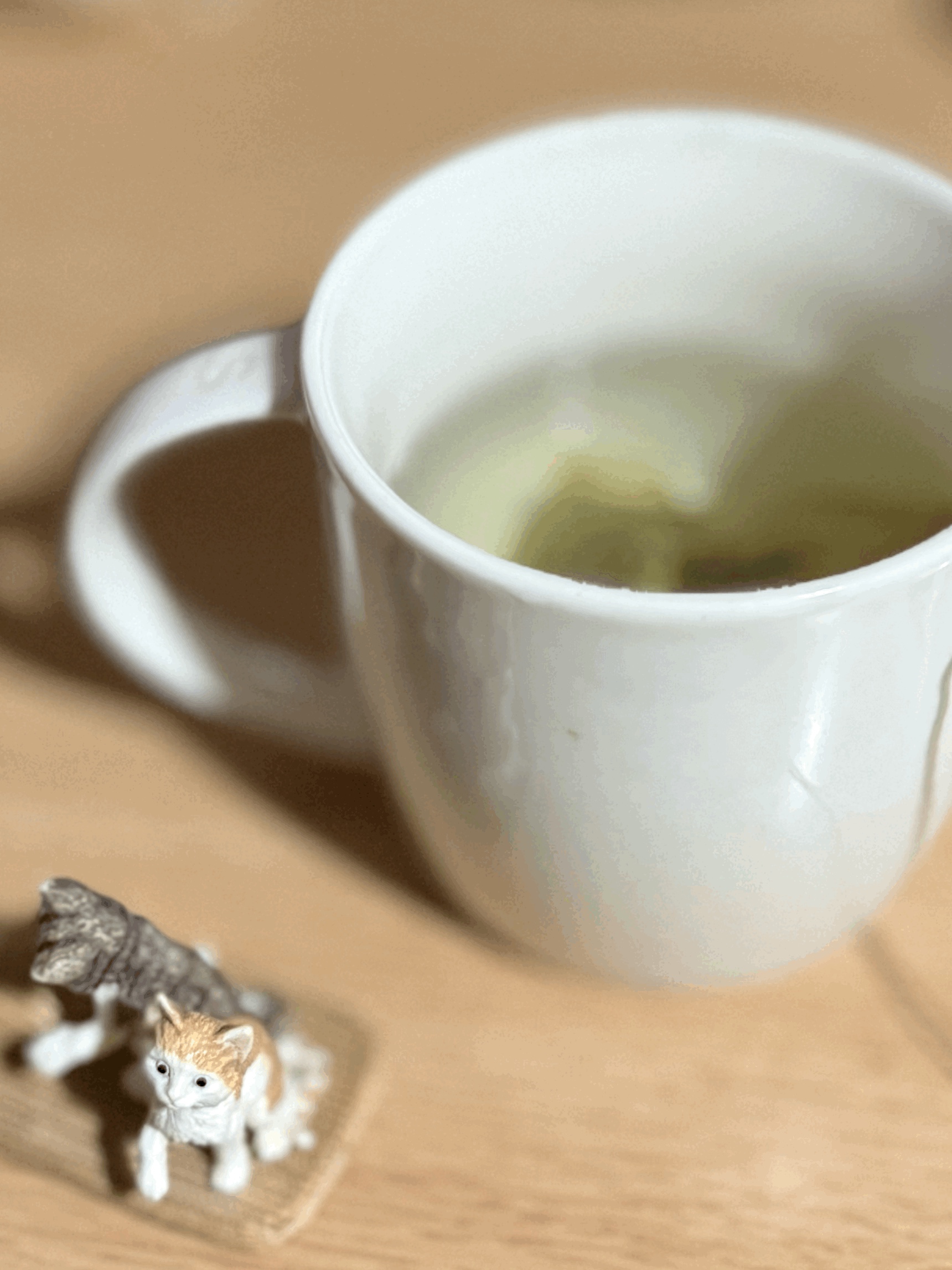 tempImageX61UMD.gif
