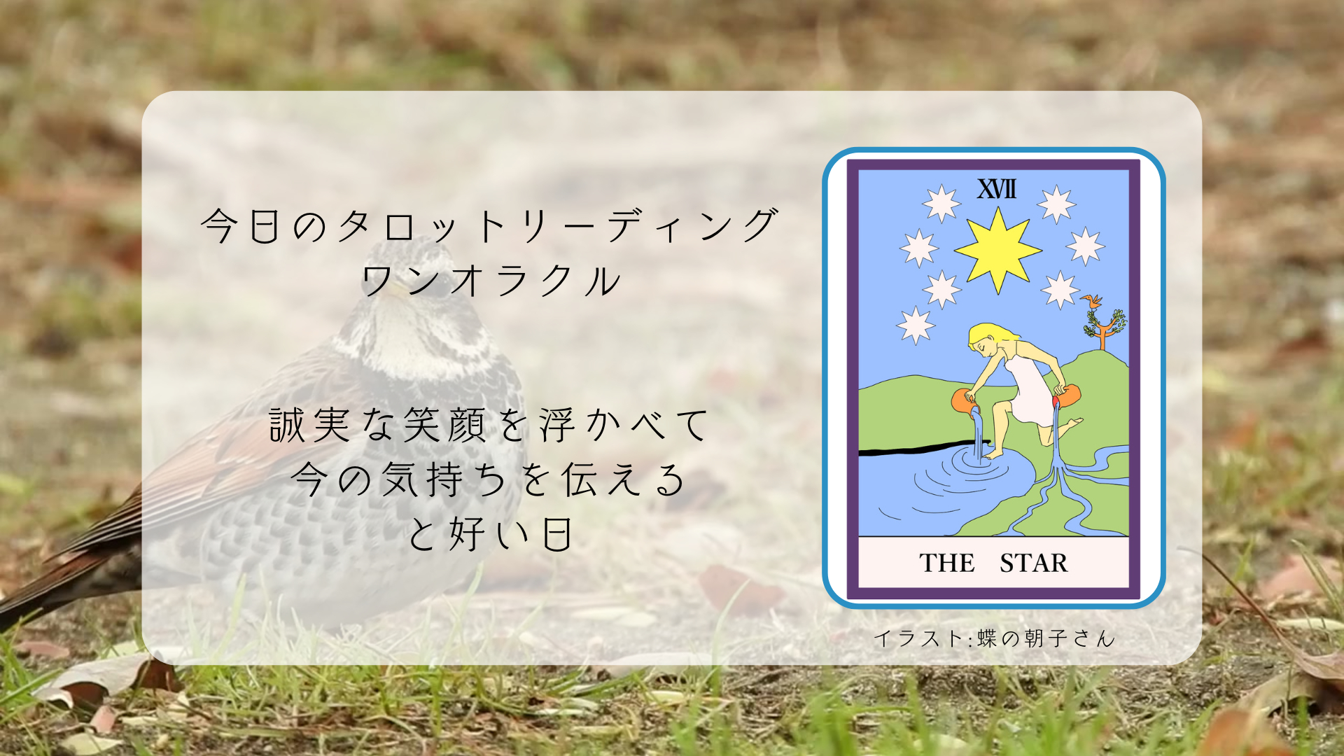 2025.4.26 星.png