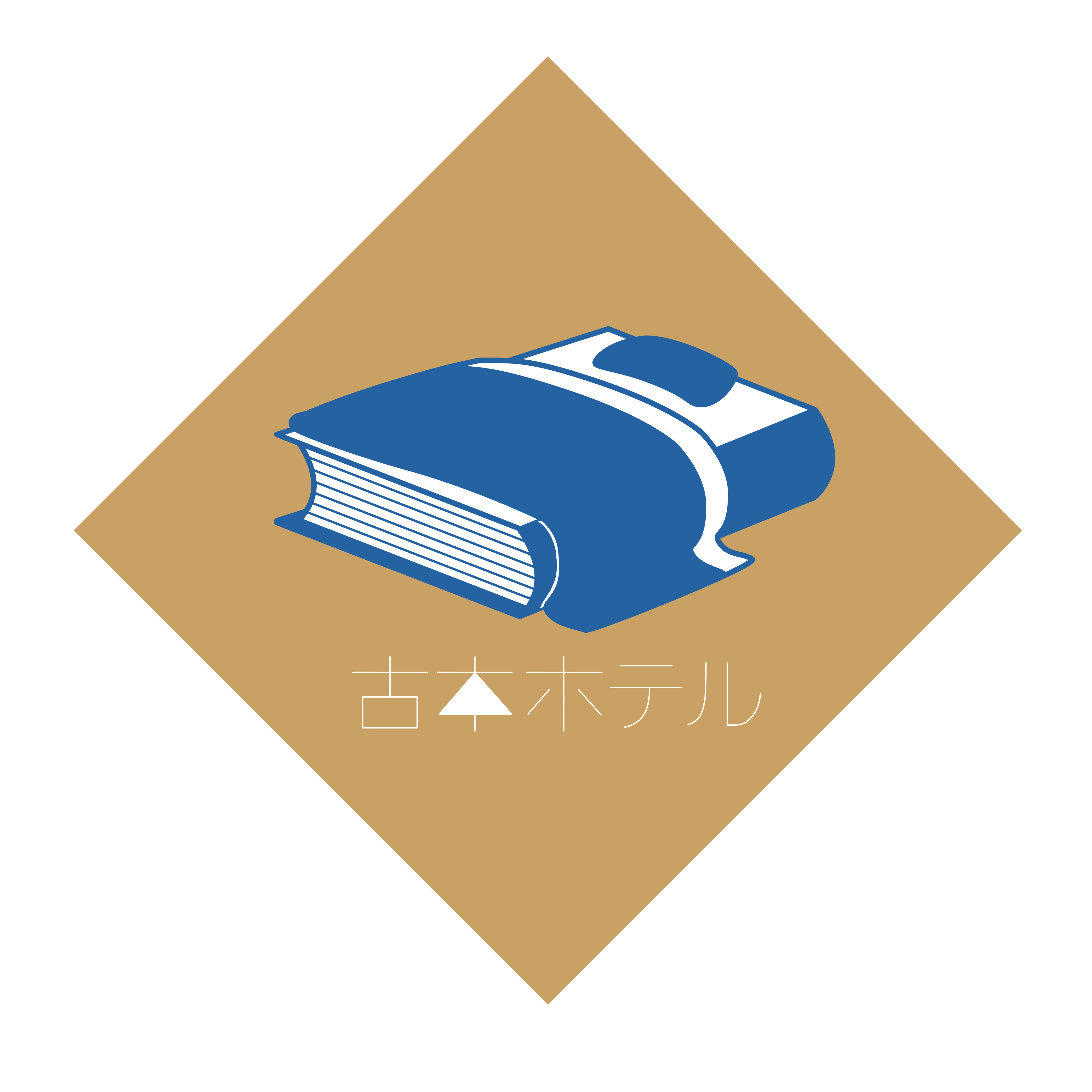 バリエーション2.png