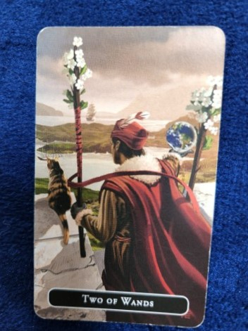 20230514_120444 (002).jpg