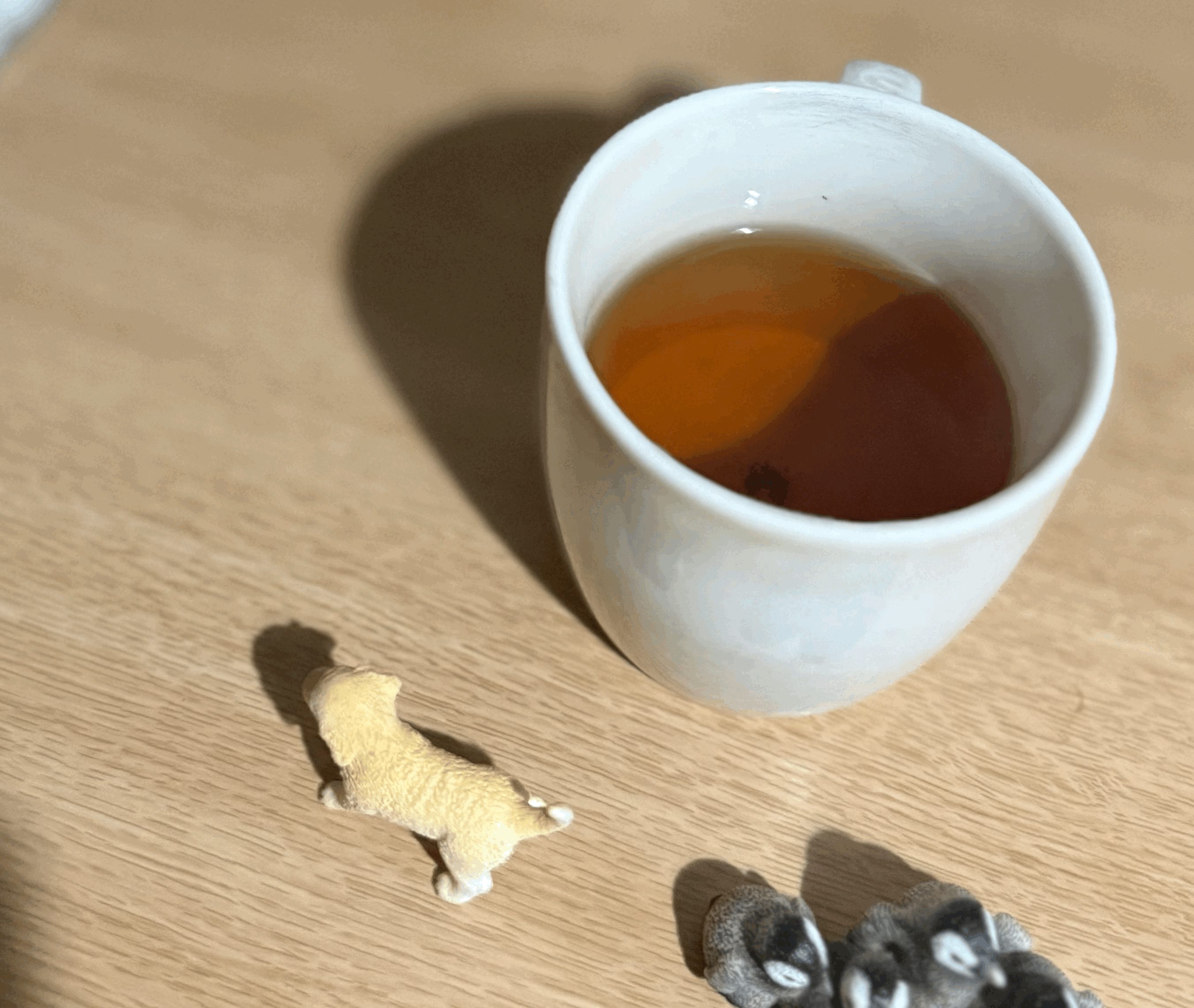tempImageYEiJeh.gif