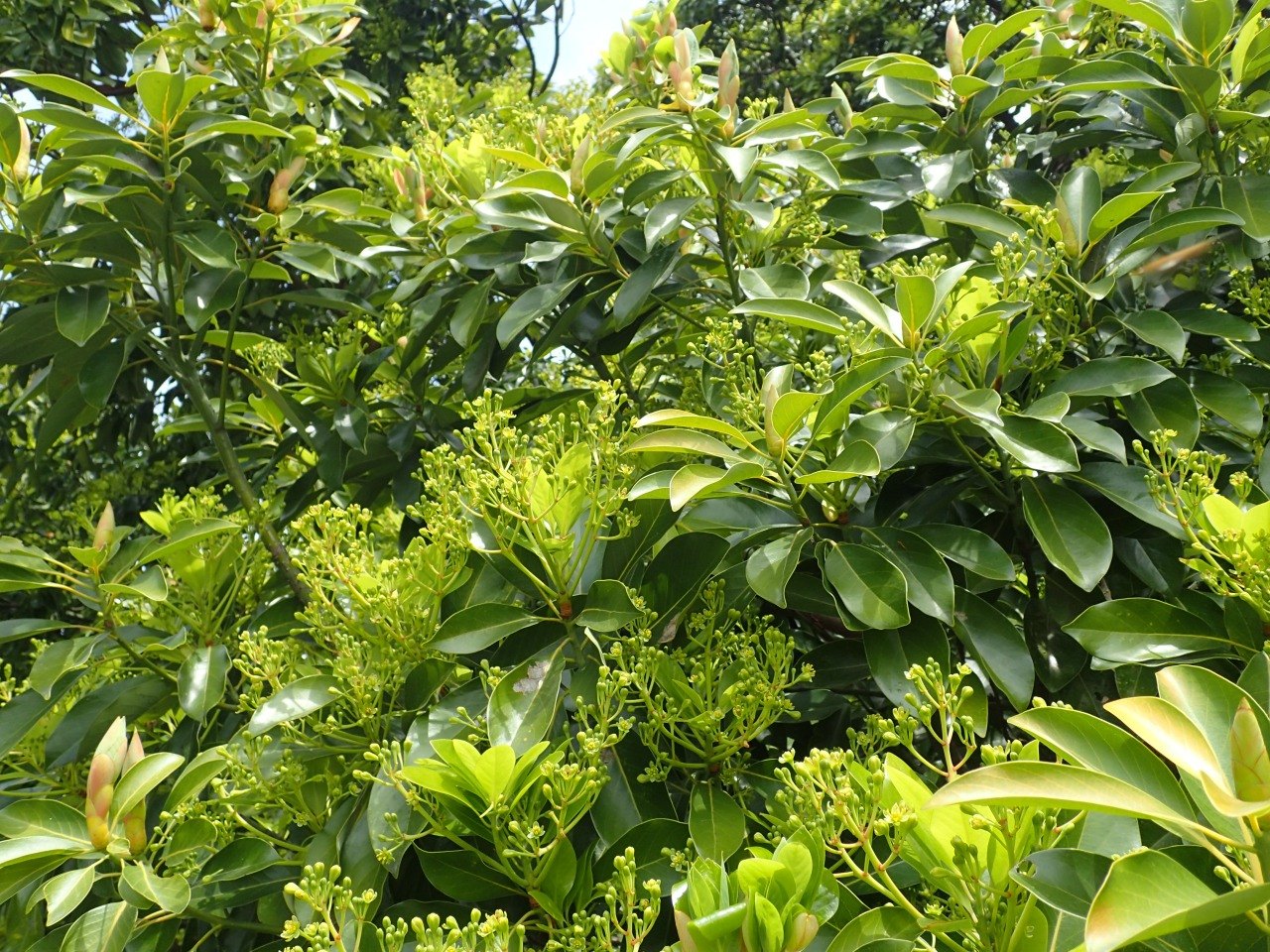 P4130563.JPG