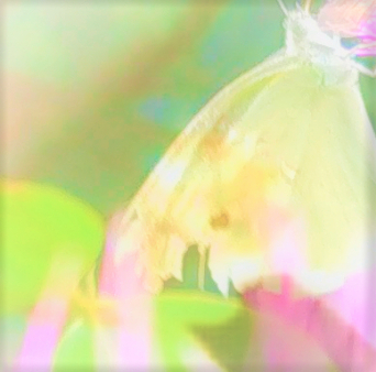 sketch-1688195641164 (8).png