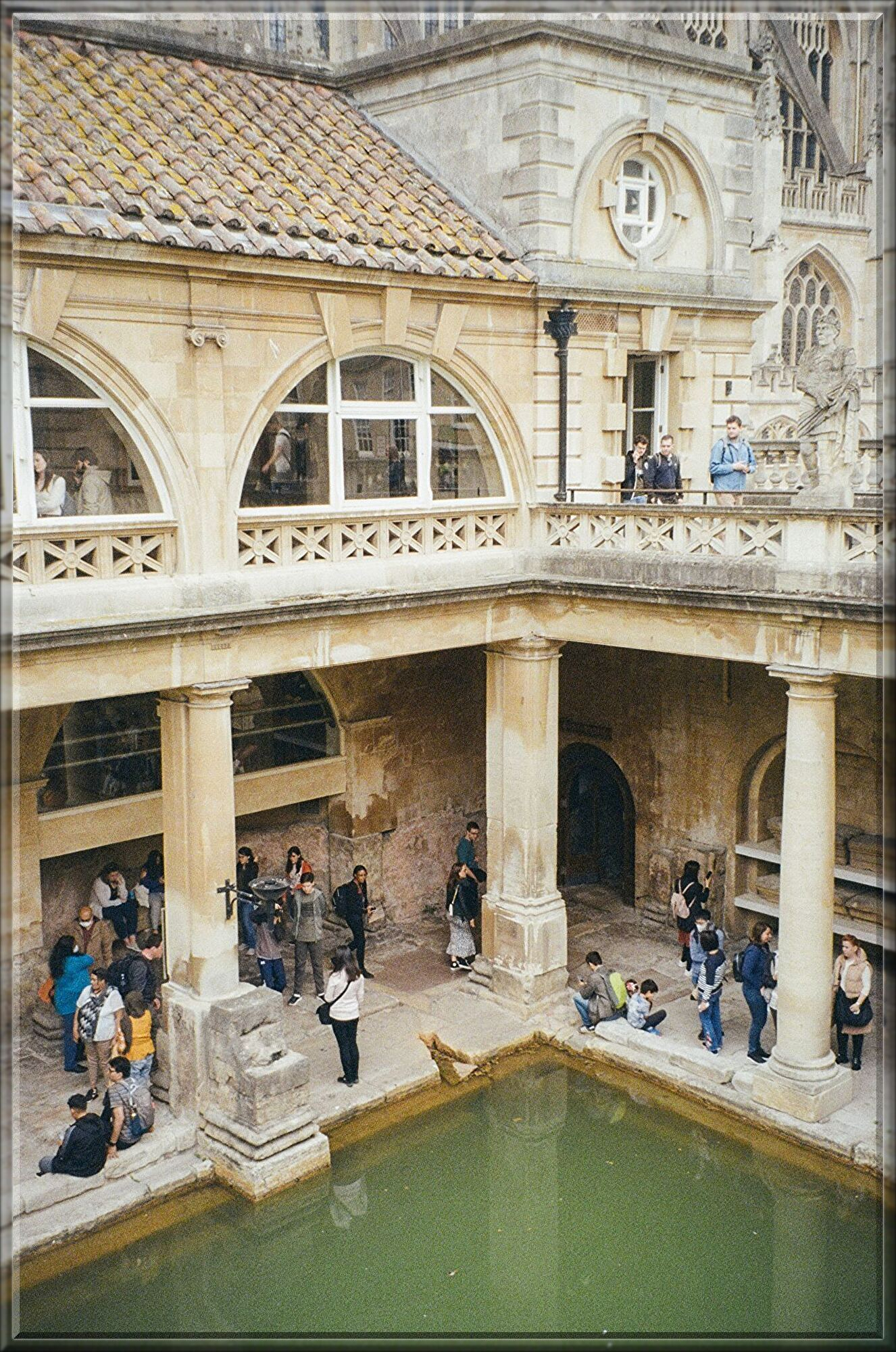 elena-jiang-TKP-uL__mzQ-unsplash.jpg