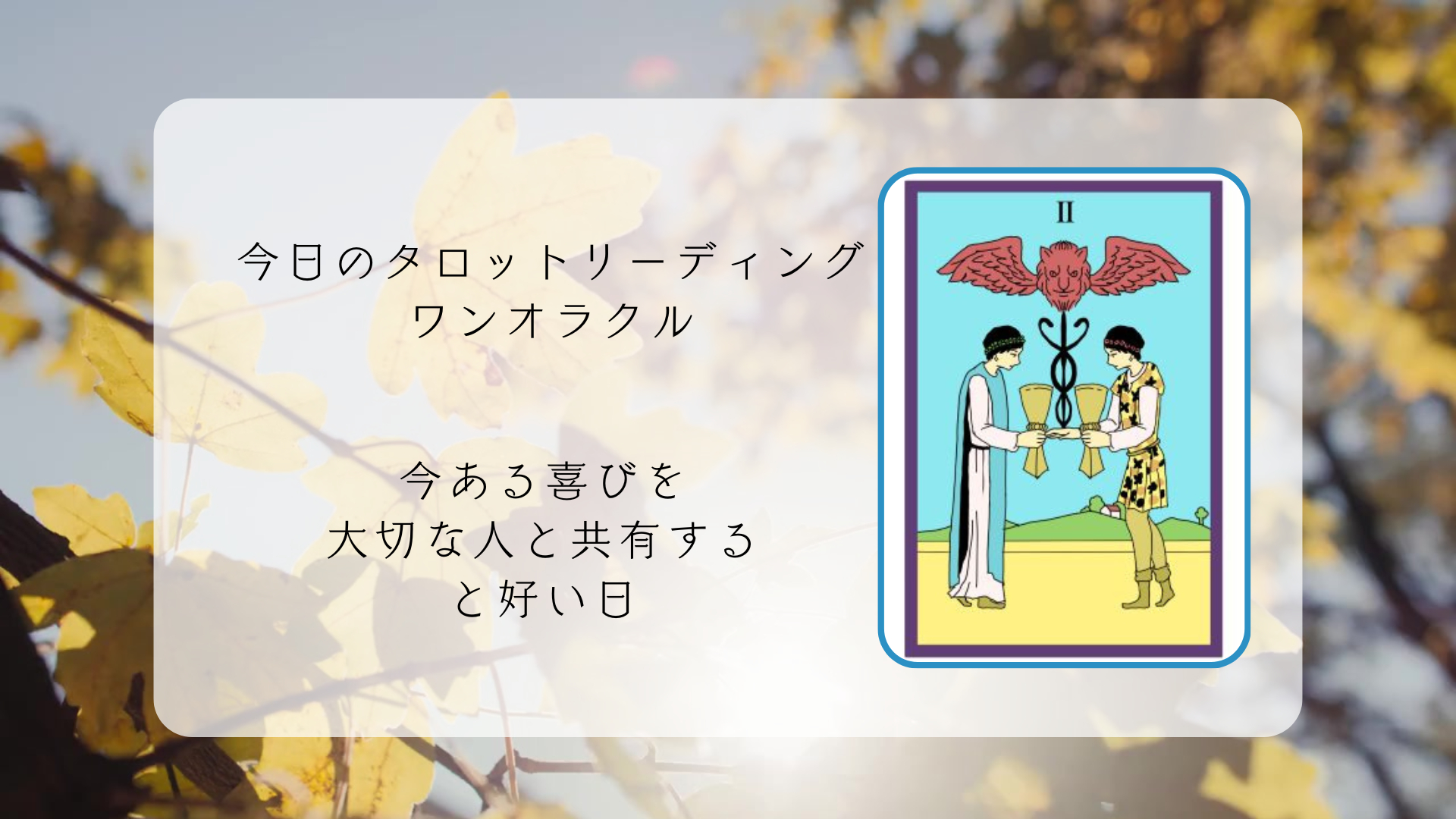 2026.1.6 カップの2.png