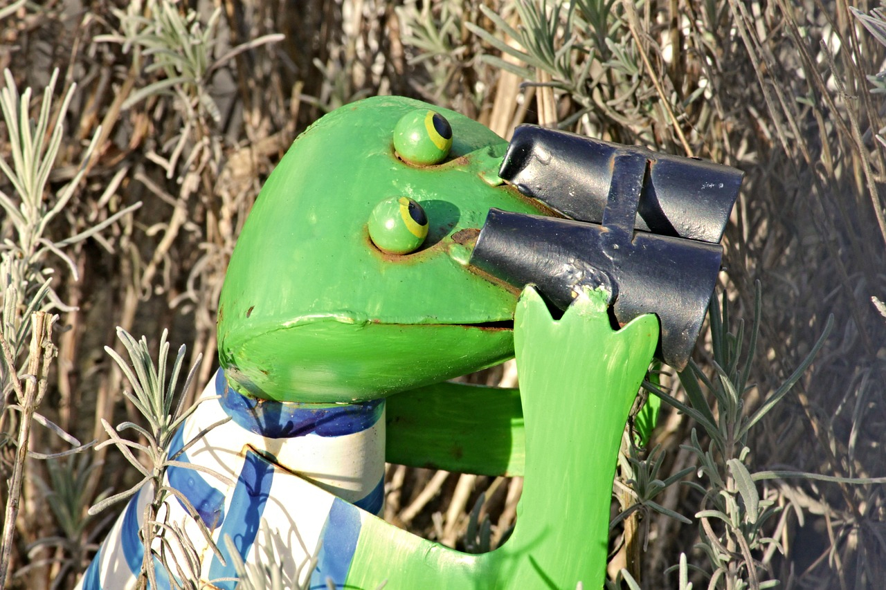 frog-3201057_1280.jpg