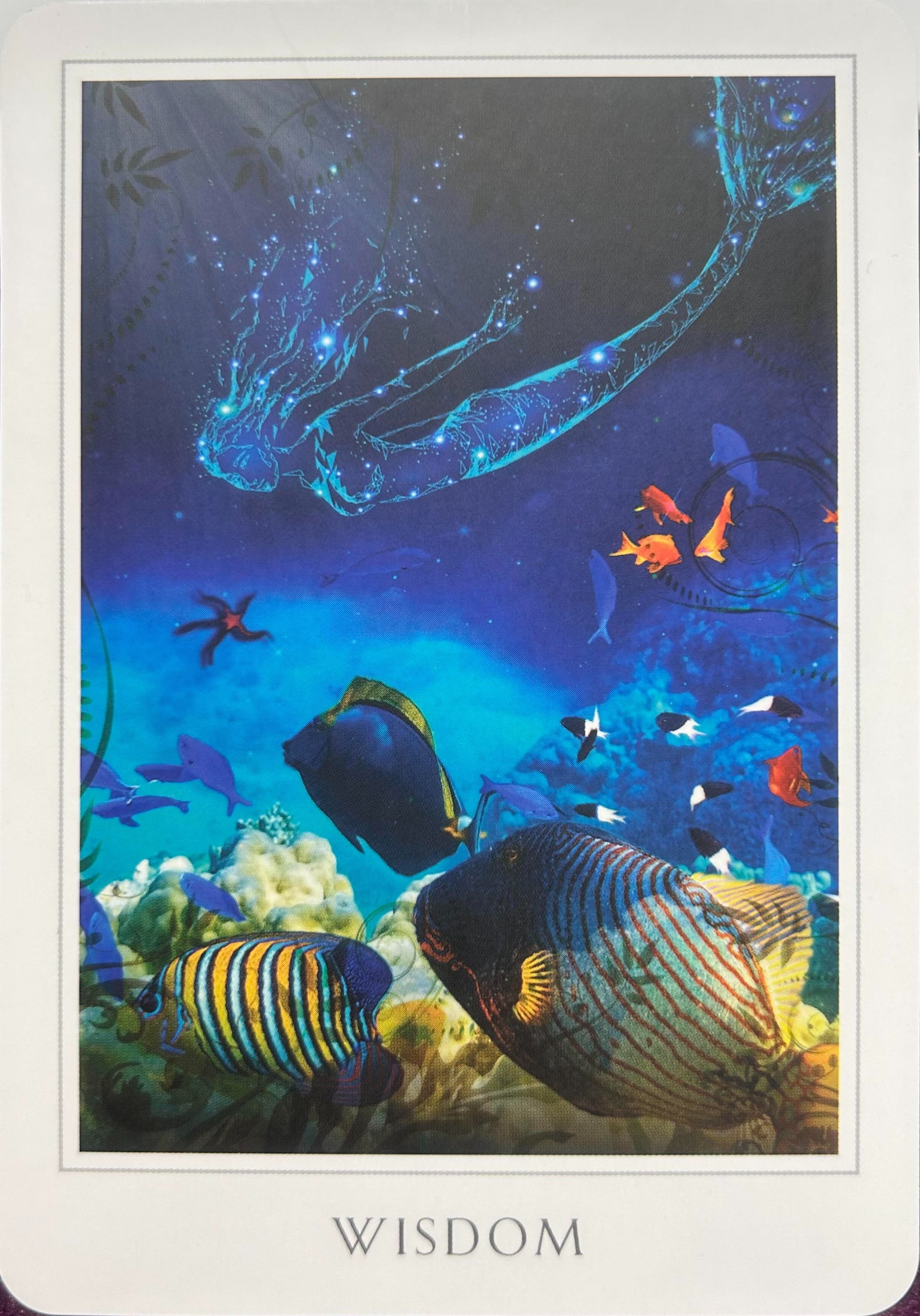 WISDOM.jpg