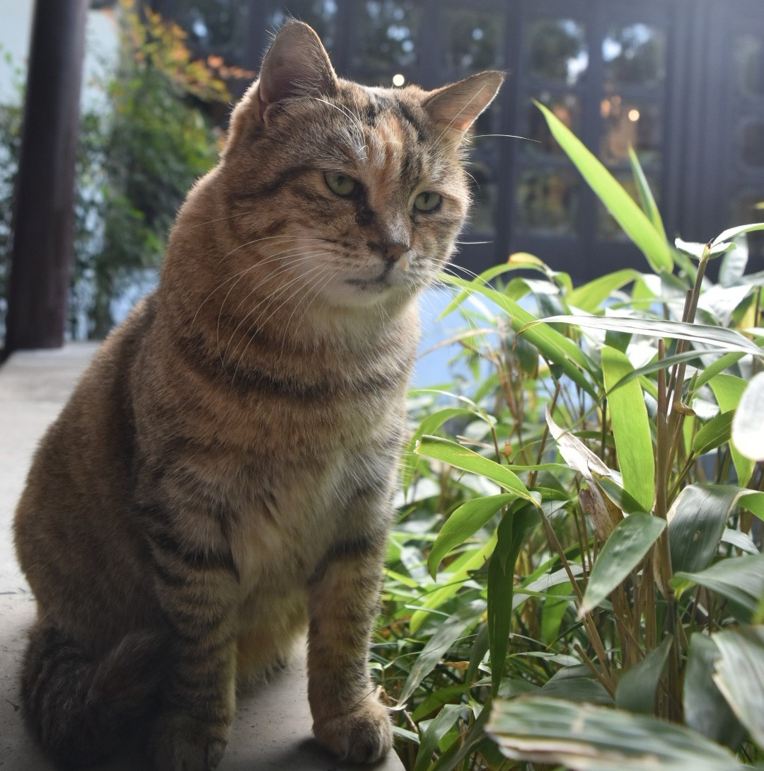 IMG_1940.jpeg
