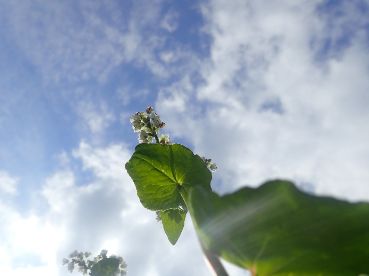 P5120316.JPG